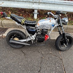 エイプ50の画像