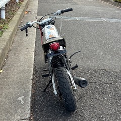 エイプ50の画像