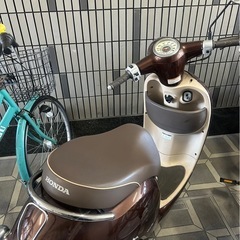取引先決定！ジャンク　50cc　ホンダ ジョルノ（AF70型） の画像