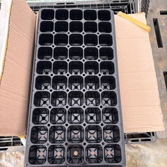 プラグトレー　　　50穴の画像