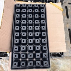 プラグトレー　　　50穴の画像