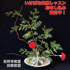 🌸 草月流いけばな教室 体験レッスン1500円⭐︎生徒募集【西東京市】【三鷹市・吉祥寺】の画像