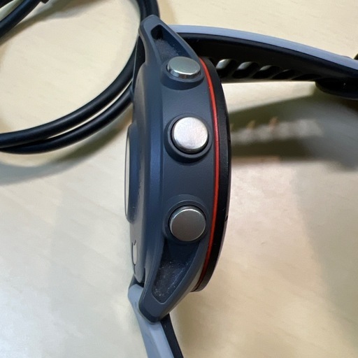 Garmin Forerunner 255