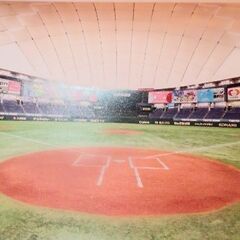 野球場2026年カレンダー 東京ドーム､京セラドーム大阪などの画像