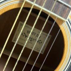 ハニービー　アコースティックギターの画像