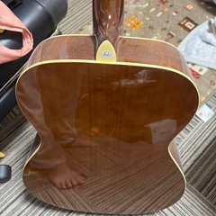 ハニービー　アコースティックギターの画像