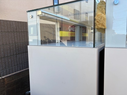 ショーケース
