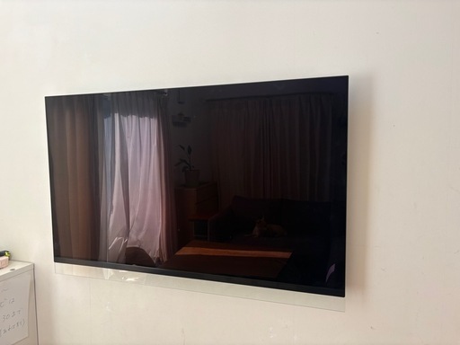 【ジャンク/上位モデル】55型 LG 有機ELテレビ OLED55E8PJA（スタンド未使用・リモコン付）