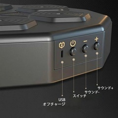 音源付きボクシングエクササイズ！大人用と子供用グローブ付きの画像