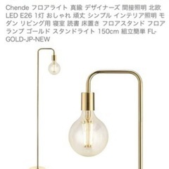 【差し上げます】デザインフロアライトの画像