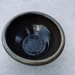 睡蓮鉢　メダカ飼育にもの画像