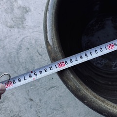 睡蓮鉢　メダカ飼育にもの画像