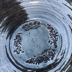 睡蓮鉢　メダカ飼育にもの画像