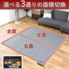 電気カーペットです٩( 'ω' )وの画像