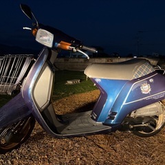 ホンダ　AF09    スーパータクト　トラッドエディション　クレージュタクト　限定車　週末限定価格の画像