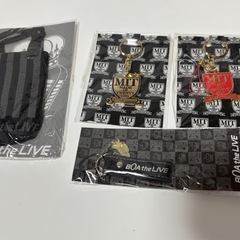 BoA グッズの画像