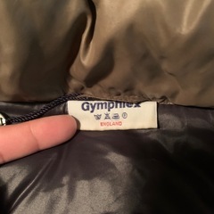 ジムフレックス ダウンの画像