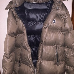 ジムフレックス ダウンの画像