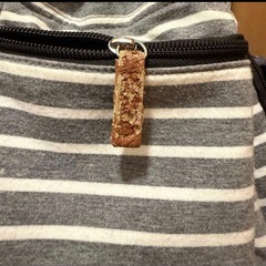 Radica ペットスリングの画像