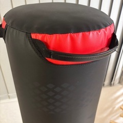 サンドバッグCentury センチュリーの画像