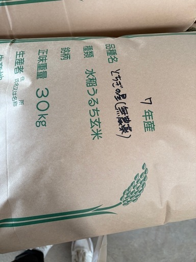 令和7年産とちぎの星:玄米33㌕