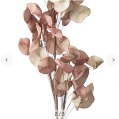 Francfranc 造花の画像