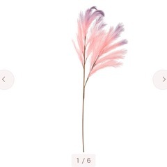 Francfranc 造花の画像