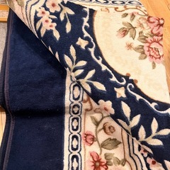 電気カーペット　ホットカーペット　絨毯じゅうたん　セットの画像