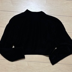 ビロードのボレロの画像