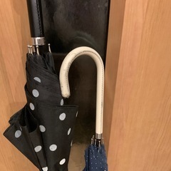 レディース　傘　日傘の画像