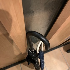 レディース　傘　日傘の画像