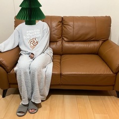 レイコージャパン製 2人掛けソファ「SHEER（シアー）」9976の画像