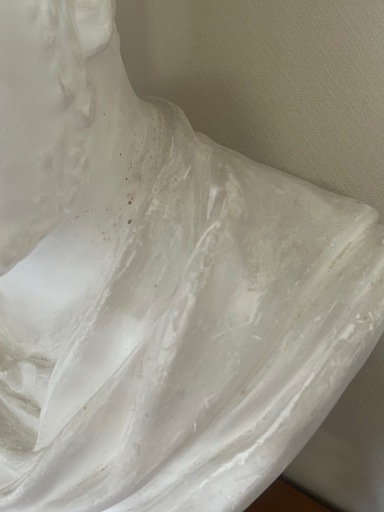 専用石膏像　 カラカラ帝