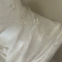 専用石膏像　 カラカラ帝の画像