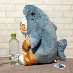 [新品] mofusand サメにゃん超BIGぬいぐるみの画像