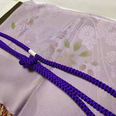 コーディネート　着物　帯　和装小物類　の画像