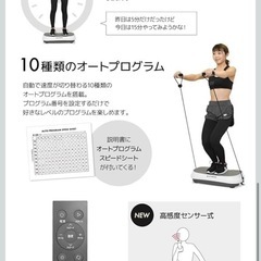 BARWING　2D vibration machine 白 ブルブル　振動マシンの画像