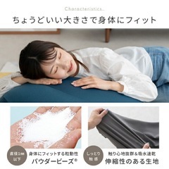 フィットチェア MOGUの画像