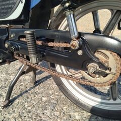 SUZUKI BIRDIE９０ 実働/カスタム/ダブルシート 仕様（スズキバーディー90）（カブじゃないです）の画像