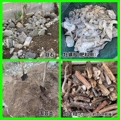 【12/19更新・まとめ売り】植木鉢いろいろ＋残土・庭石など 好きなだけどうぞの画像