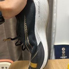 NIKE　ズームX ヴェイパーフライ ネクスト％ 2 の画像