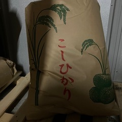 【問合せ多数で停止中】令和６年産　コシヒカリ　玄米３０キロ　の画像