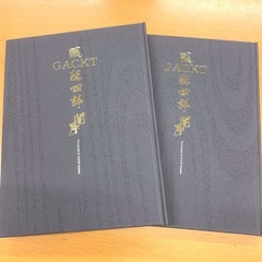 GACKT 眠狂四郎 写真集 2冊組の画像