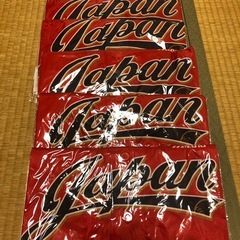 ソフトボール代表レプリカユニフォームの画像