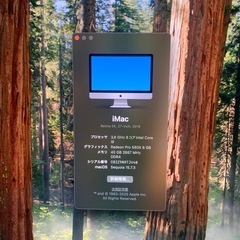 Apple iMac Retina 5K 27インチ 2019 Core i9 / 40GB / SSD500GBの画像