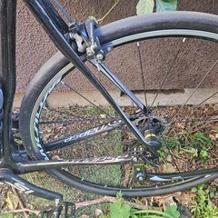 CANNONDALE 2017 Synapse Carbon 58の画像