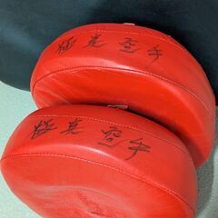 BODYMAKER ビッグミット キックミット マルチパンチングミット ハンドミット THAISMAN パンチンググローブ 空手 極真空手 セットの画像