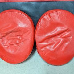 BODYMAKER ビッグミット キックミット マルチパンチングミット ハンドミット THAISMAN パンチンググローブ 空手 極真空手 セットの画像