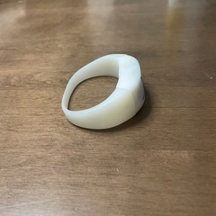 BUMP OF CHICKEN ザイロバンドの画像