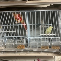 美品！早い者勝ち！鳥かご ケージの画像